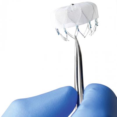 Occluding the Left Atrial Appendage (LAA) | DAIC